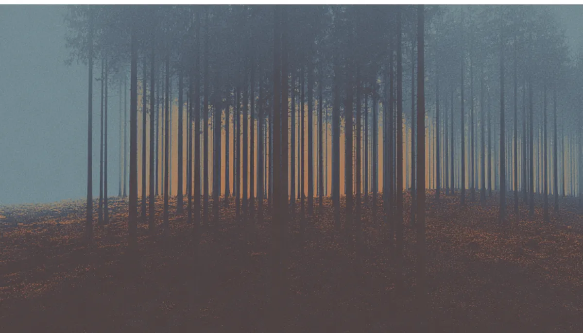 B2B user research vs B2C: Understanding the key differences