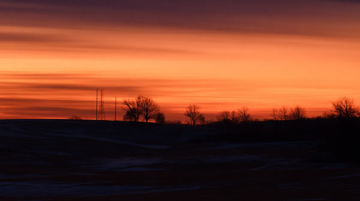 Best video diary and diary study tools for UX research in 2026