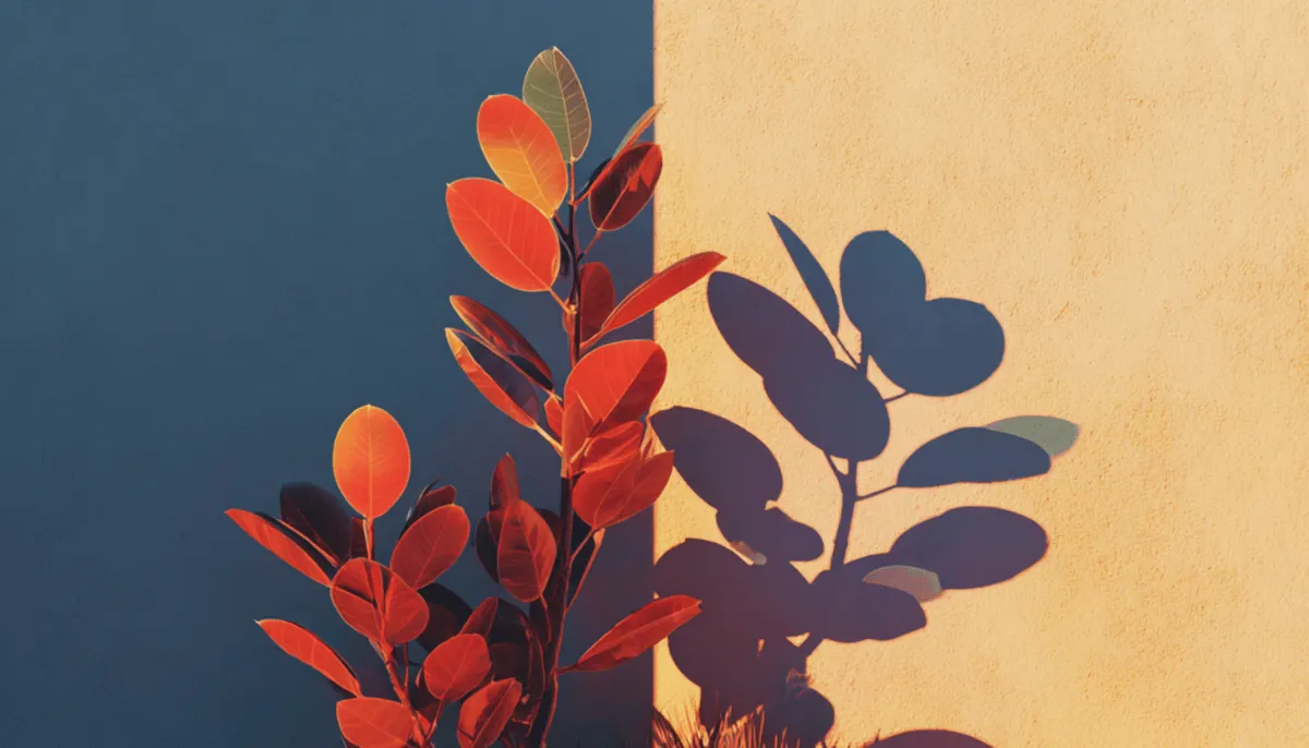 Buyer personas: Definition, benefits, and creation process