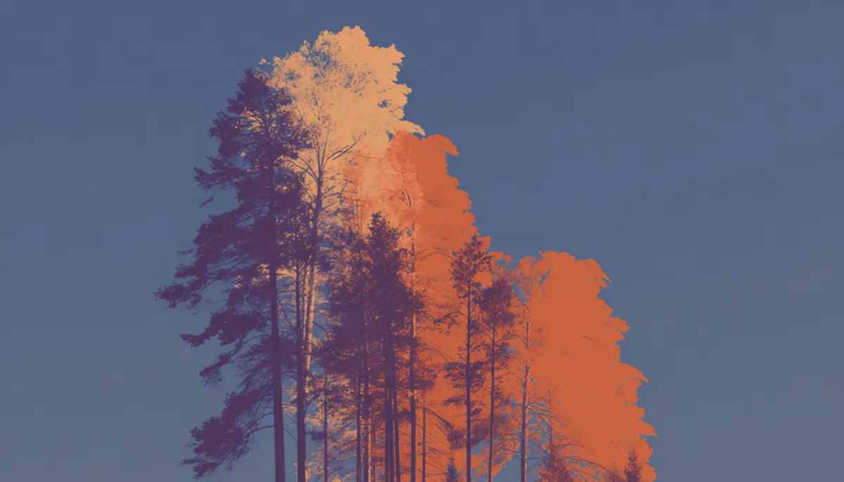 Customer insight tools: How to extract actionable data