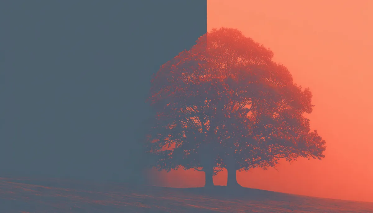 How to run Zoom focus groups: Step-by-step walkthrough