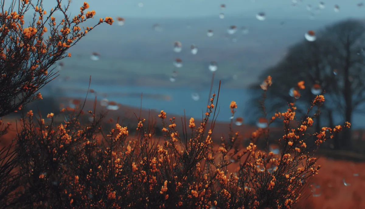 Product validation: how to test product ideas before building