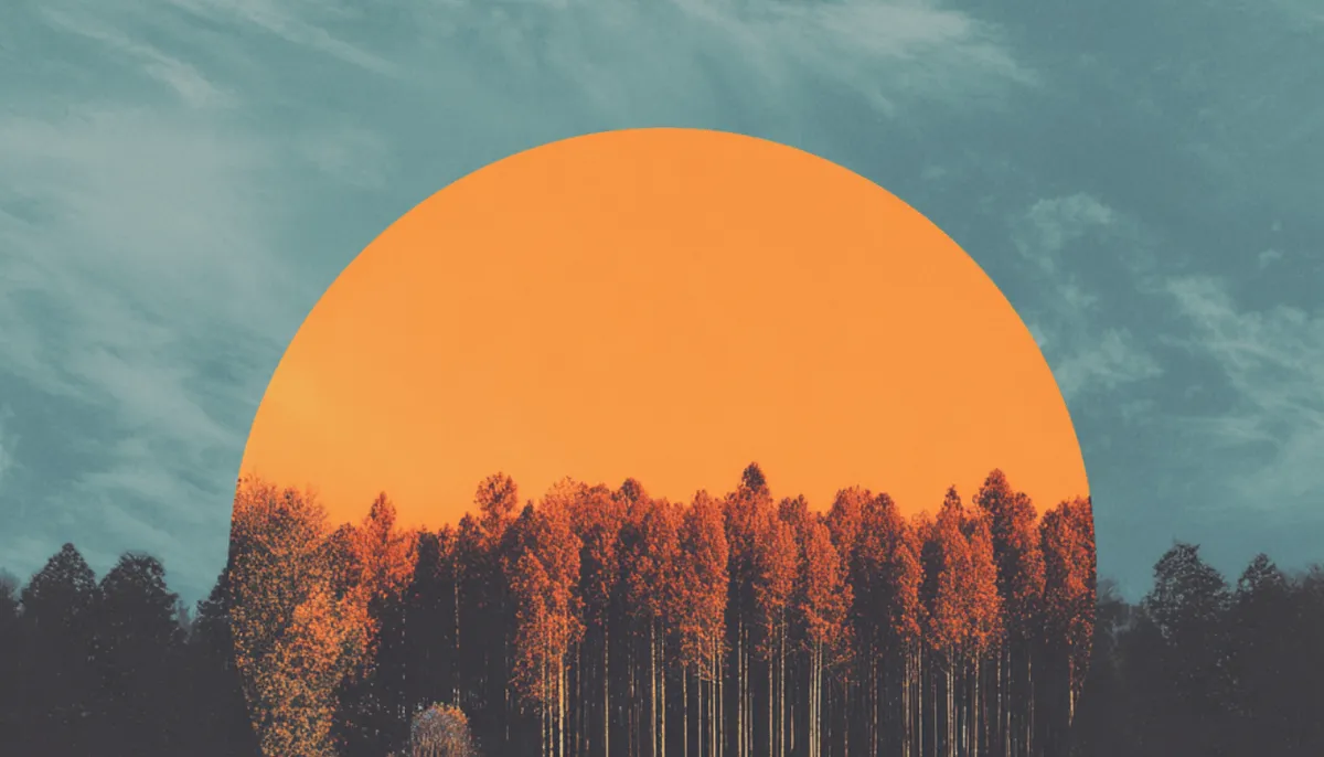 Research participant recruitment: Complete guide for UX researchers