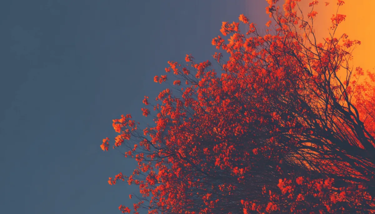 Retail market research: Complete guide for CX and product teams