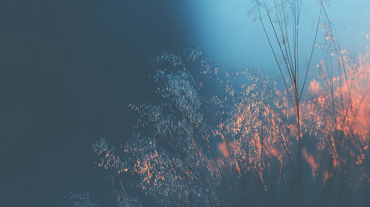 Types of user research methods