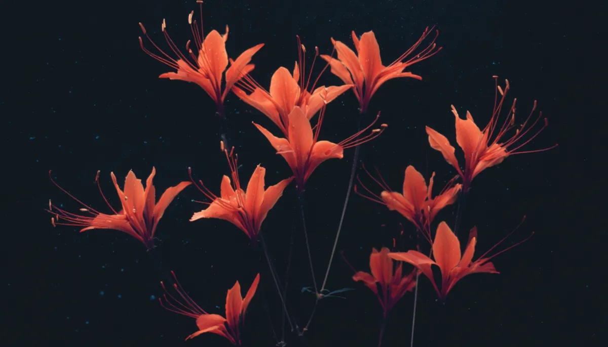 Usability testing tools : 10 best platform for consumer products