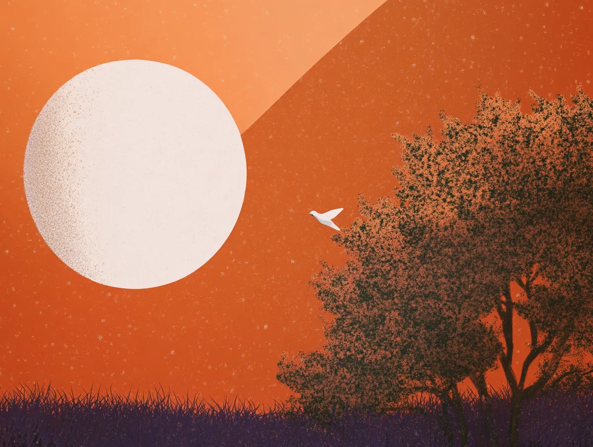 User testing: Complete walkthrough to testing products with real users